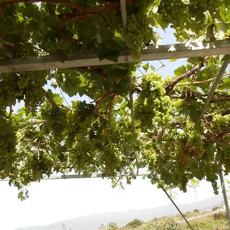 Casitas Uvas Y Vinas Feriehus *