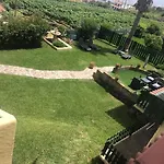 Casitas Uvas Y Vinas * Los Realejos