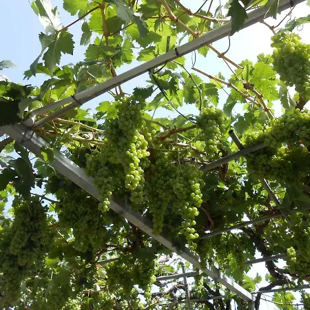Casitas Uvas Y Vinas Hébergement de vacances Los Realejos