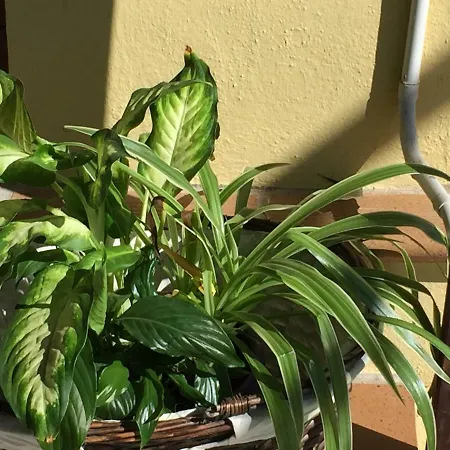 Casitas Uvas Y Vinas Casa de Férias