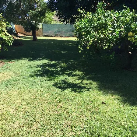 Casitas Uvas Y Vinas Los Realejos